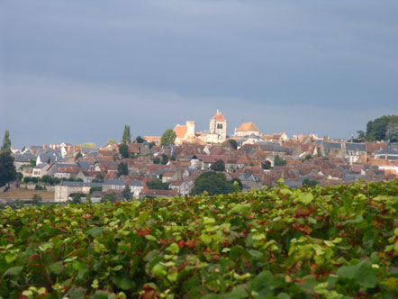 Sancerre